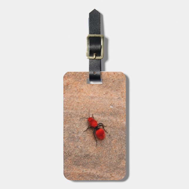 red ant wasp tag (Front Vertical)