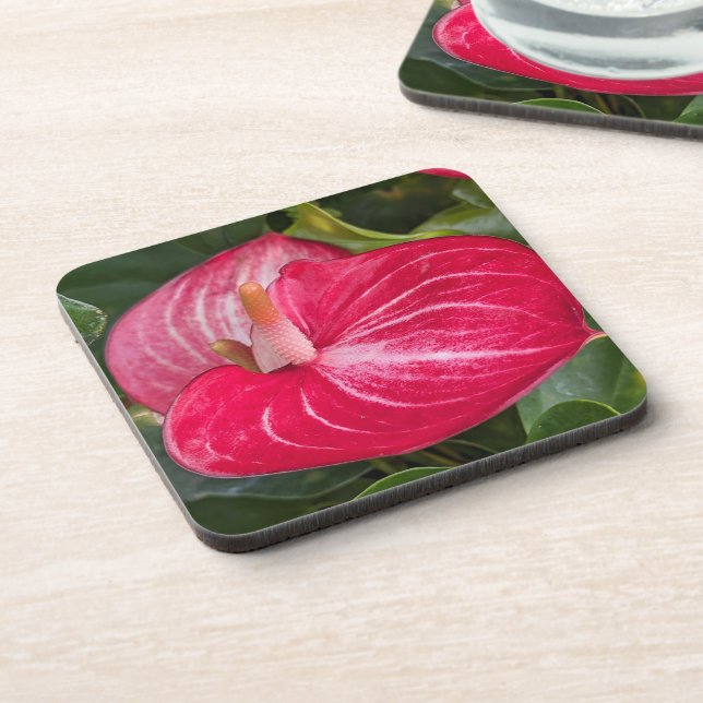 Red Anthurium Bloom Floral Beverage Coaster (Left Side)