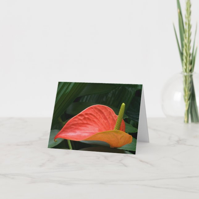 Red Anthurium Plant Against Foliage Thank You Card (Front)