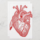 Red Antique Anatomical Heart (Front/Back)