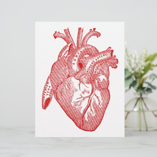 Red Antique Anatomical Heart (Standing Front)