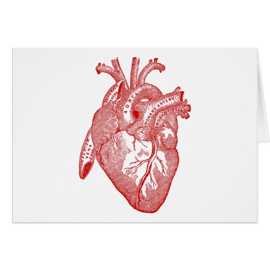 Red Antique Anatomical Heart Cards (Front Horizontal)