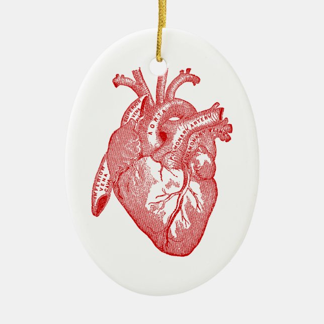 Red Antique Anatomical Heart Ceramic Ornament (Front)