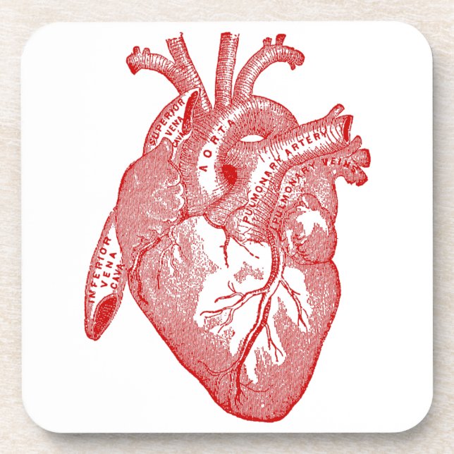 Red Antique Anatomical Heart Drink Coaster (Front)