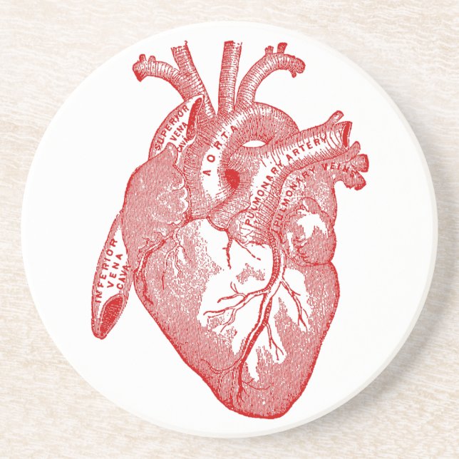 Red Antique Anatomical Heart Drink Coaster (Front)