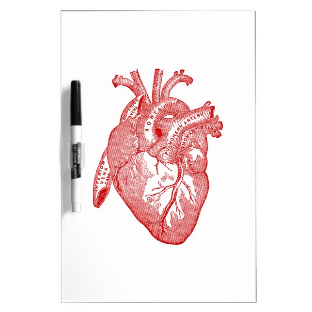 Red Antique Anatomical Heart Dry Erase Board (Front)