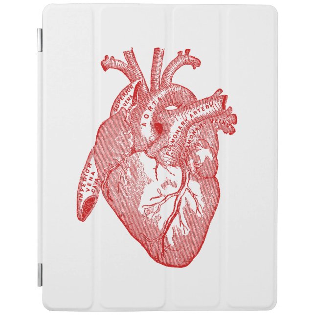 Red Antique Anatomical Heart iPad Smart Cover (Front)
