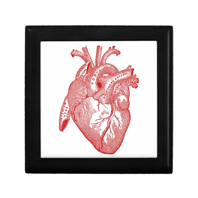 Red Antique Anatomical Heart Jewelry Box (Front)