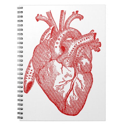 Red Antique Anatomical Heart Notebook