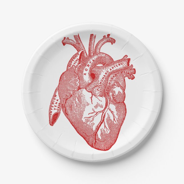 Red Antique Anatomical Heart Paper Plates (Front)