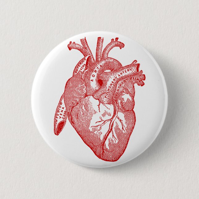 Red Antique Anatomical Heart Pinback Button (Front)