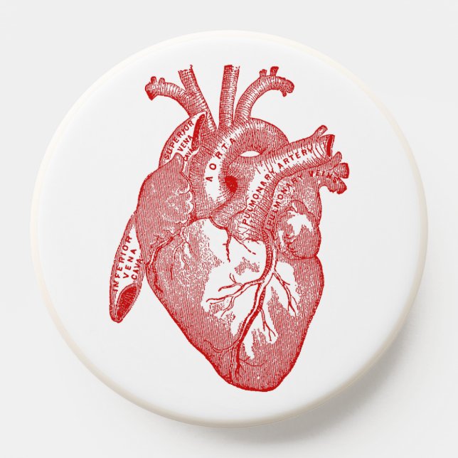 Red Antique Anatomical Heart PopSocket (Popsocket)