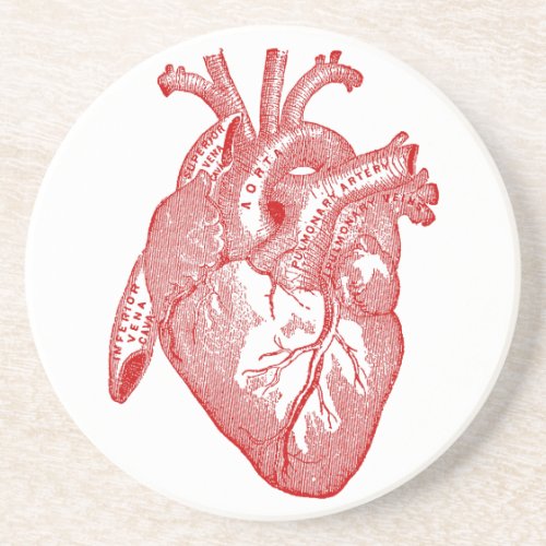 Red Antique Anatomical Heart Sandstone Coaster