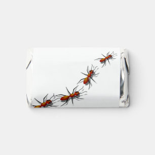 Red Ants at Your Picnic Hershey's Miniatures