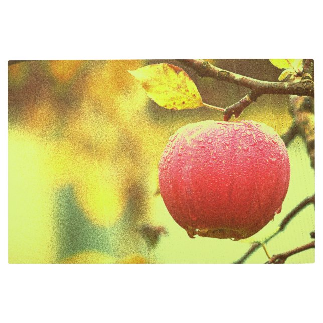 "Red Apple" Cute Photo. Buy Now Metal Print (Front)