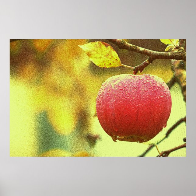 "Red Apple" Cute Photo. Buy Now Poster (Front)