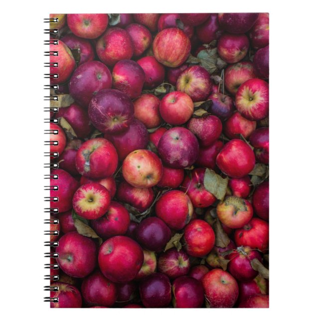 Red apple lot notebook (Front)