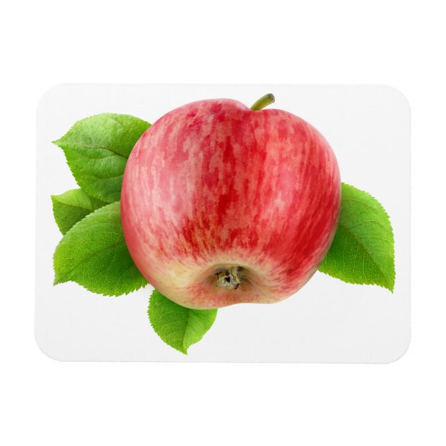Red apple magnet (Horizontal)
