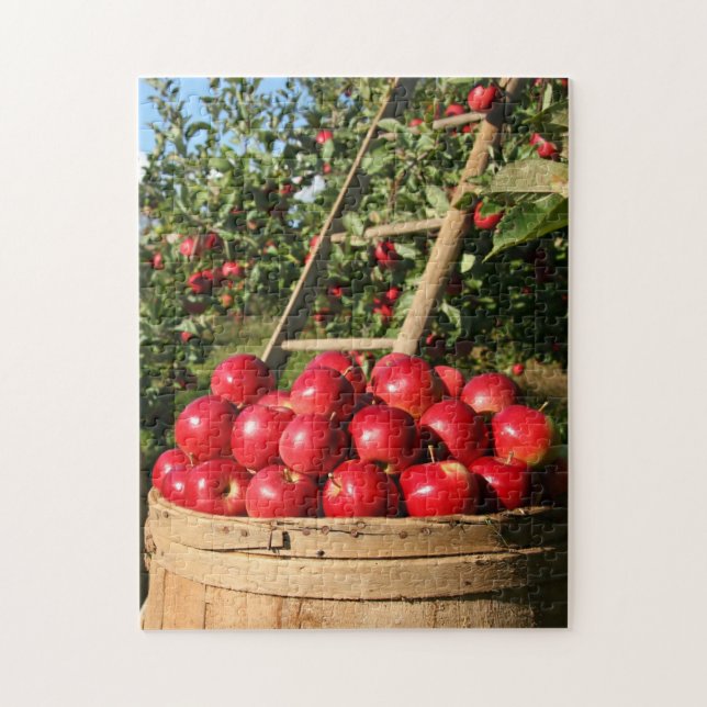 Red apple orchard harvest jigsaw puzzle (Vertical)