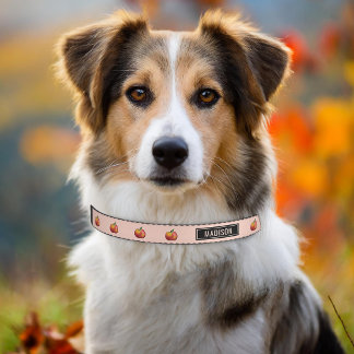 Red Apples Autumn Harvest Fruit Blush Pink Black Pet Collar