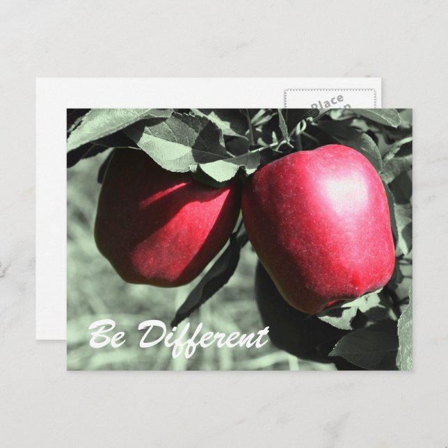 Red Apples Be Different Inspirational Postcard (Front/Back)