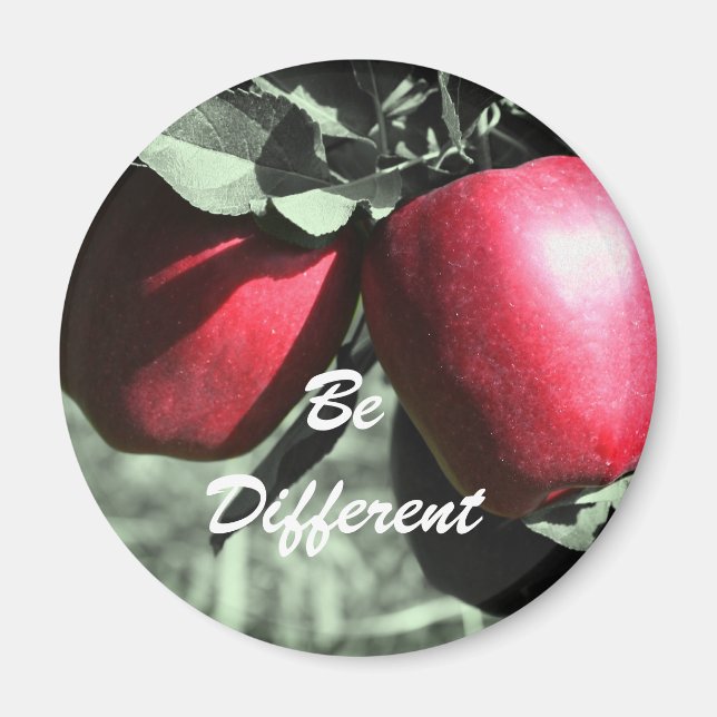 Red Apples Be Different Motivational Magnet (Front)