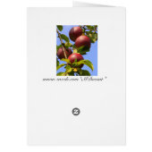 Red Apples Cards (Back)