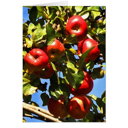 Red Apples Cards (Front)