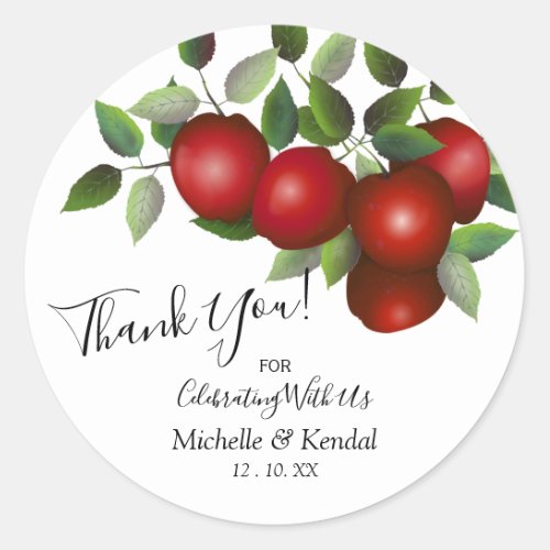 Red Apples Fruit  Thank You Classic Round Sticker