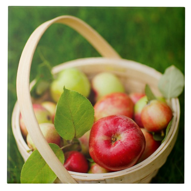 Red apples in a basket tile (Front)