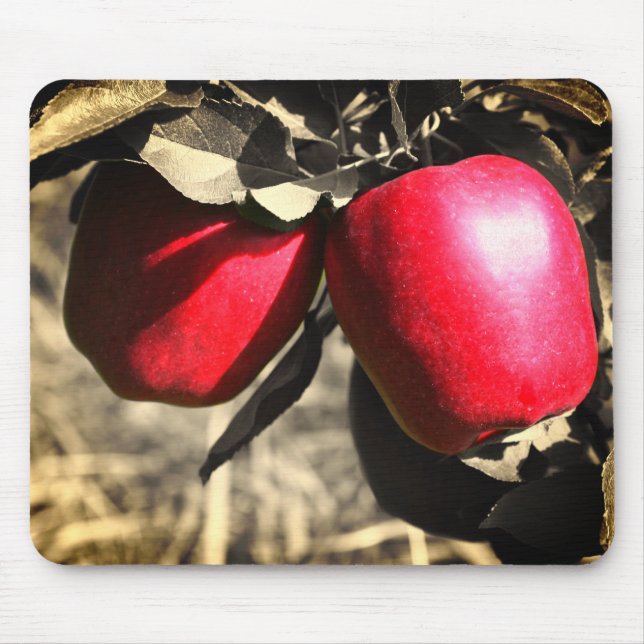Red Apples On Tree Mouse Pad (Front)