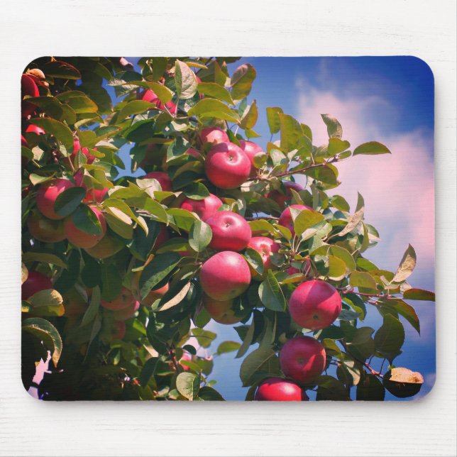 Red Apples On Tree Nature  Mouse Pad (Front)