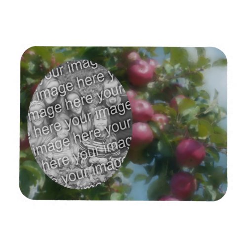 Red Apples On Tree Painting Add Your Photo Magnet