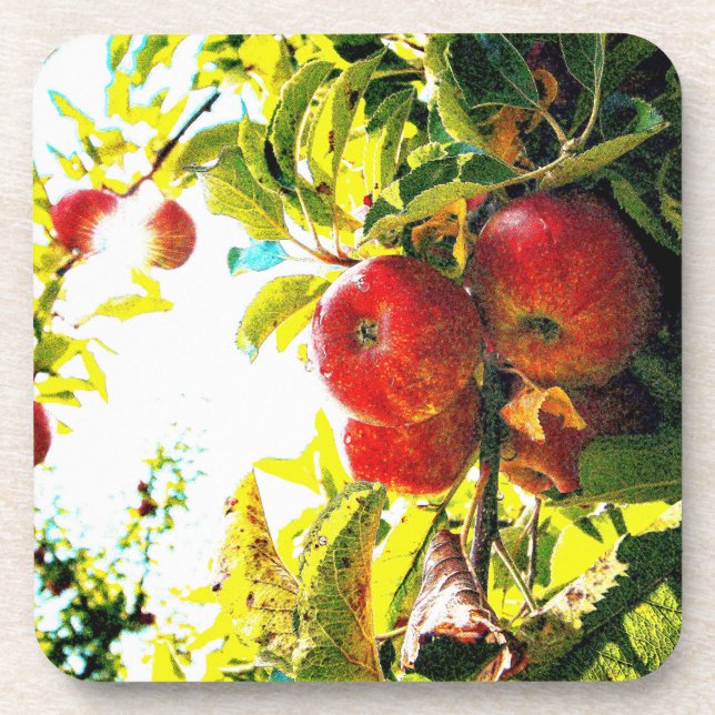 "Red Apples Tree On Sunny Day" Cute Photo. Buy Now Beverage Coaster (Front)