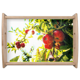 "Red Apples Tree On Sunny Day" Cute Photo. Buy Now Serving Tray