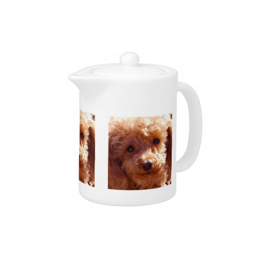 Red Apricot Poodle Dog Teapot