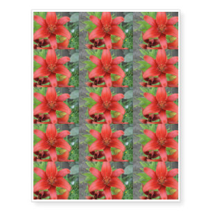 Red Asiatic Lily Temporary Tattoos