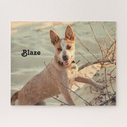 Red Australian Cattle Dog _ Heeler _ in the snow Jigsaw Puzzle