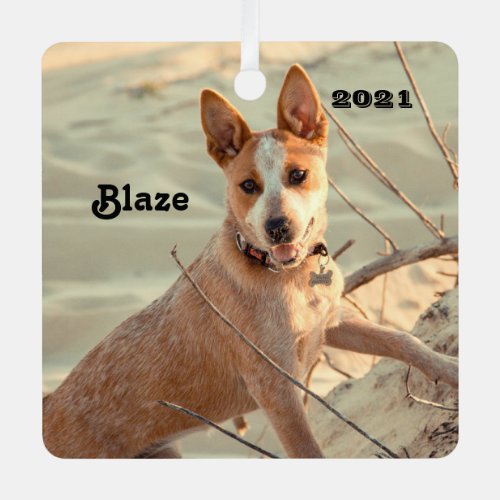 Red Australian Cattle Dog _ Heeler _ in the snow Metal Ornament