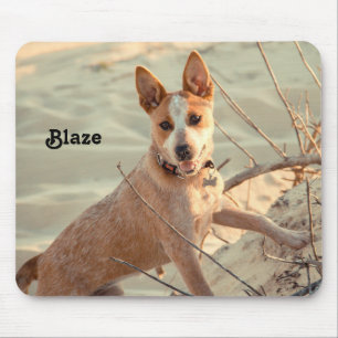 Red Australian Cattle Dog - Heeler - in the snow Mouse Pad