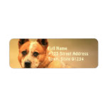 Red Australian Cattle Dog Return Address Label