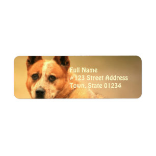 Red Australian Cattle Dog Return Address Label
