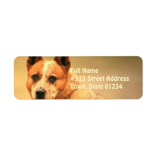 Red Australian Cattle Dog Return Address Label