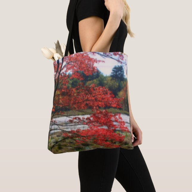 Red Autumn Foliage Marsh  Tote Bag (Close Up)