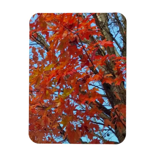 Red Autumn Leaves Magnet (Vertical)