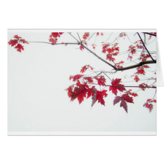 red autumn leaves on a branch cards