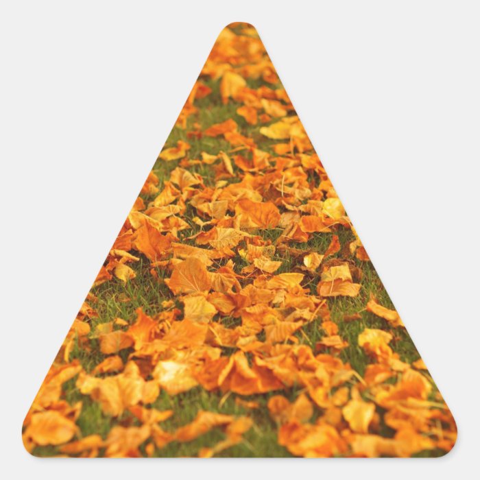 Red Autumn Leaves on the Grass Triangle Sticker