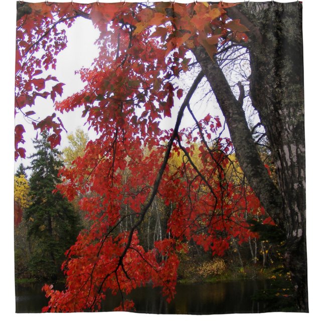 Red Autumn Leaves Shower Curtain (Front)