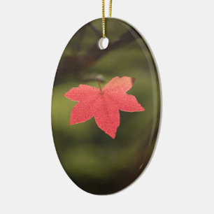 Red Autumn Maple Leaf Nature Photo Ceramic Ornament