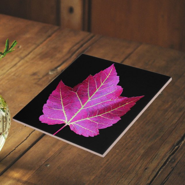 Red Autumn Maple Leaf on Black Background Ceramic Tile (In Situ)